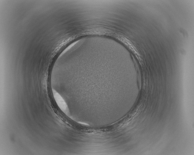 X0000115450434200912021009