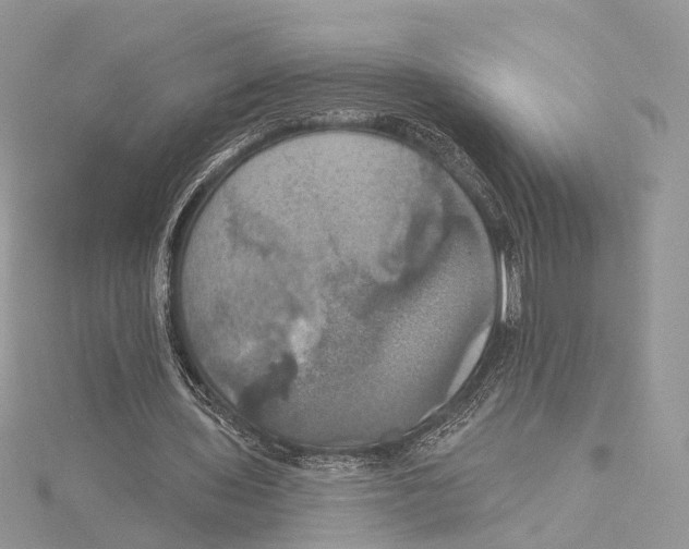 X0000115450435200912021009