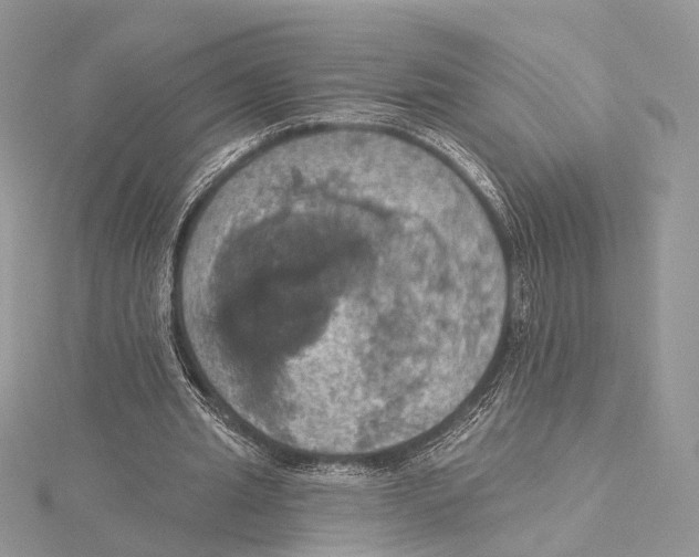 X0000115450437200912021009