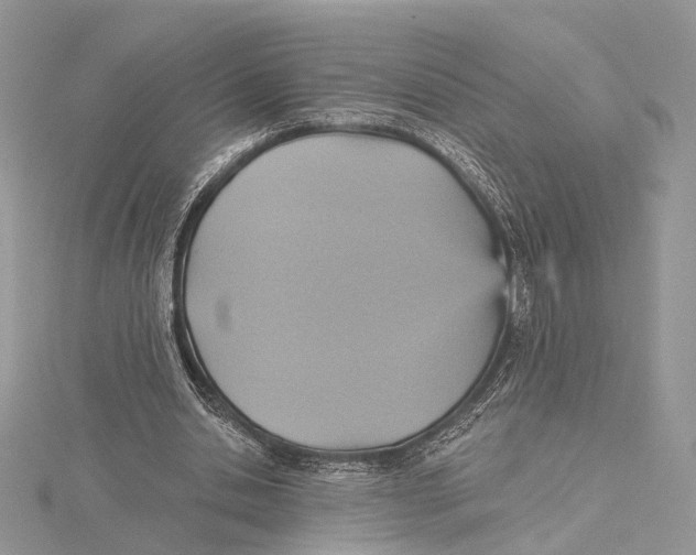 X0000115450438200912021009