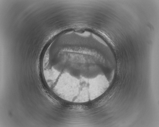 X0000115450439200912021009