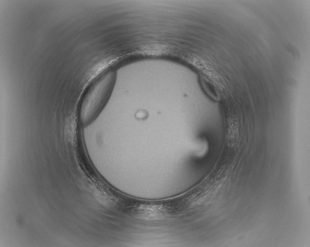 X0000115450440200912021009