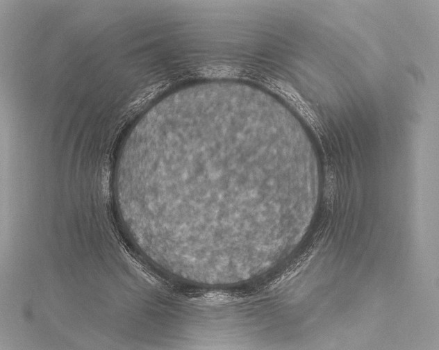 X0000115450441200912021009