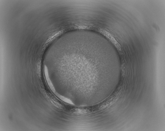 X0000115450442200912021009