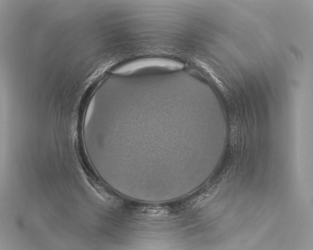 X0000115450443200912021009