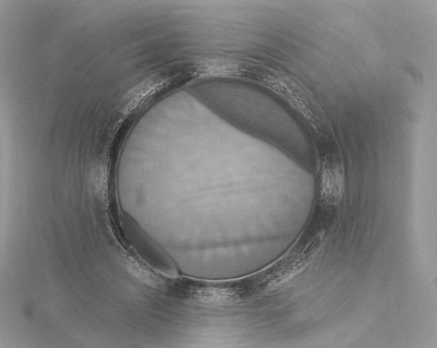 X0000115450444200912021009