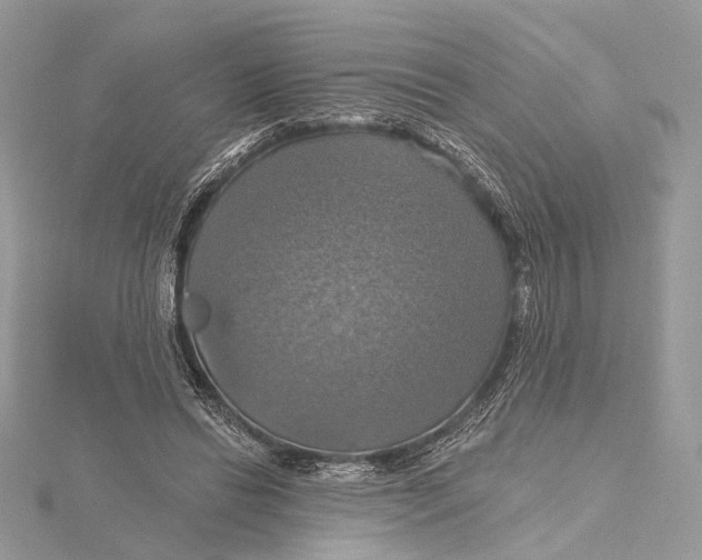 X0000115450446200912021009