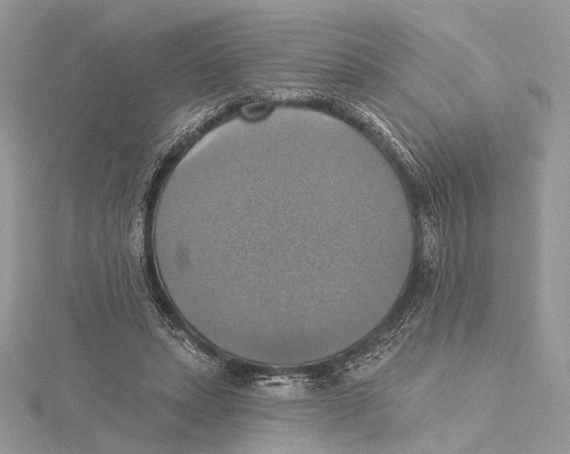 X0000115450447200912021009