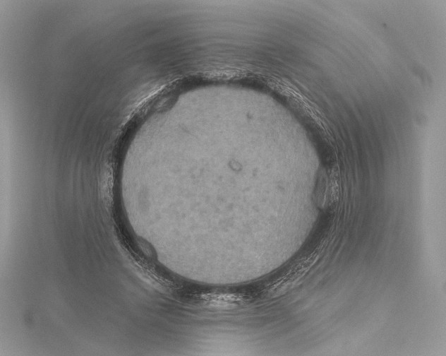 X0000115450448200912021009