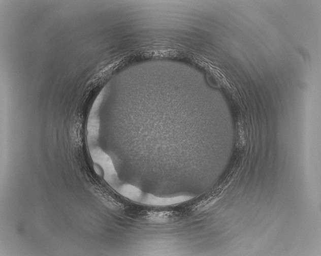 X0000115450450200912021009