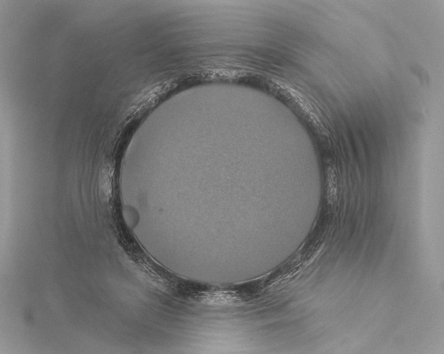 X0000115450451200912021009