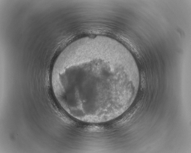 X0000115450453200912021010