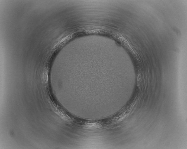 X0000115450454200912021010