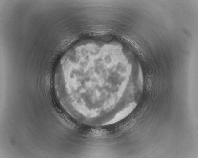 X0000115450455200912021010