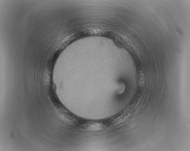 X0000115450456200912021010