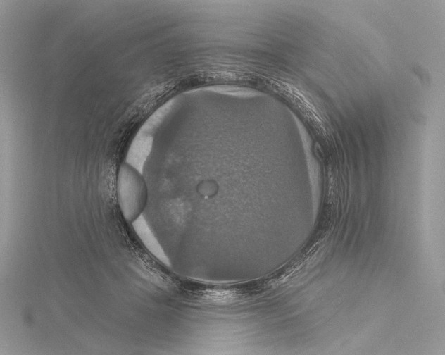 X0000115450457200912021010