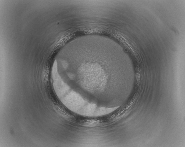 X0000115450458200912021010