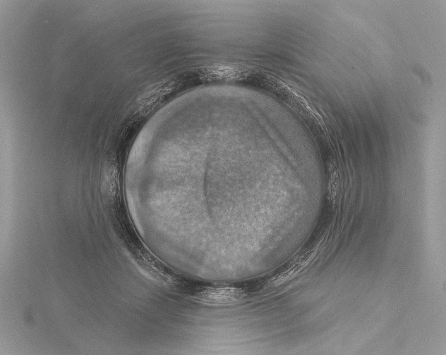 X0000115450459200912021010