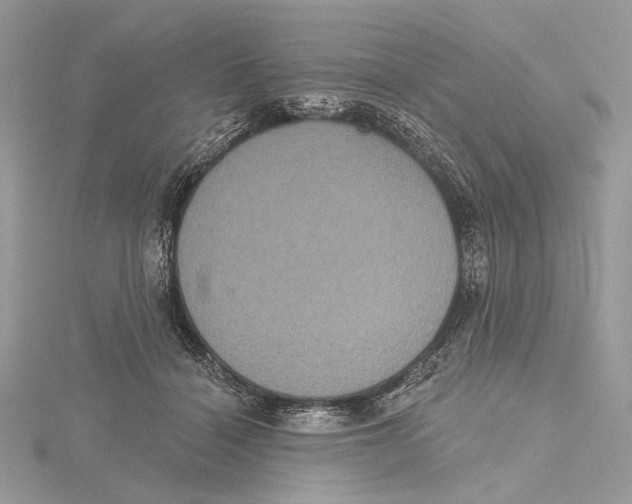 X0000115450460200912021010