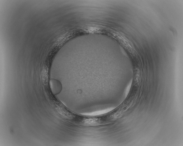 X0000115450461200912021010