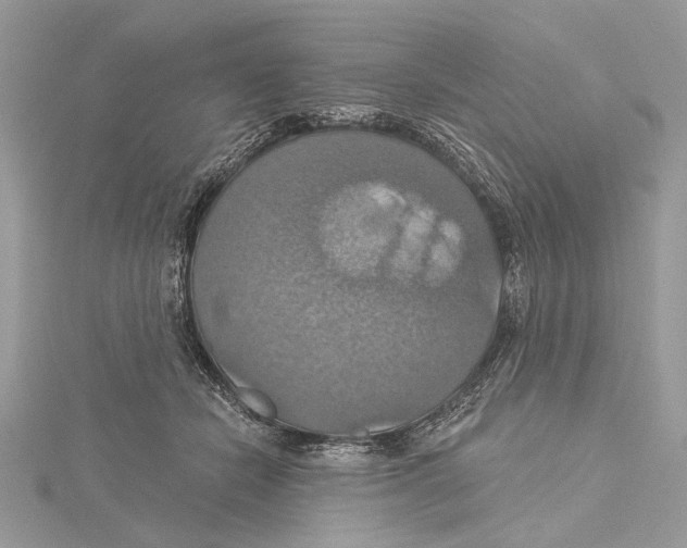 X0000115450462200912021010