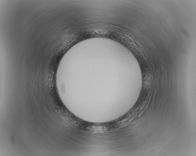 X0000115450464200912021010