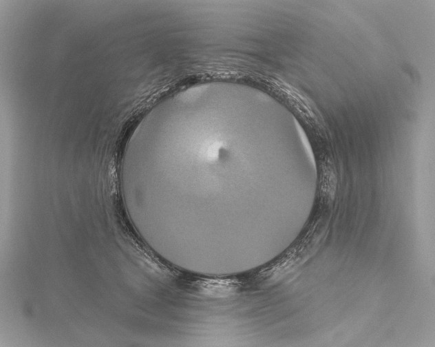 X0000115450465200912021010