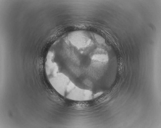 X0000115450466200912021010