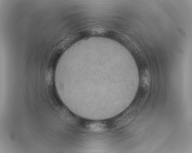 X0000115450468200912021010