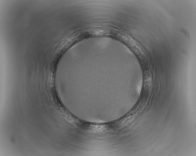 X0000115450469200912021010