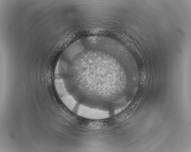 X0000115450470200912021010