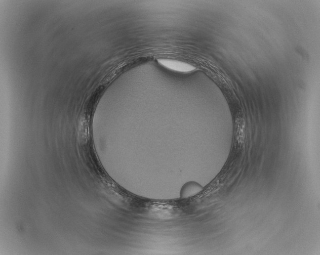 X0000115450471200912021010