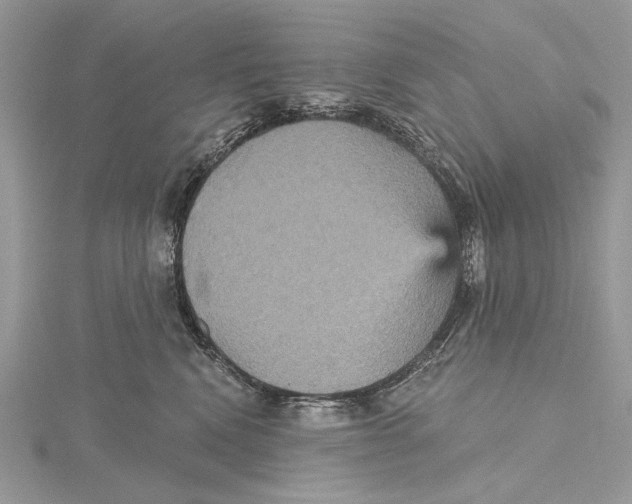 X0000115450472200912021010