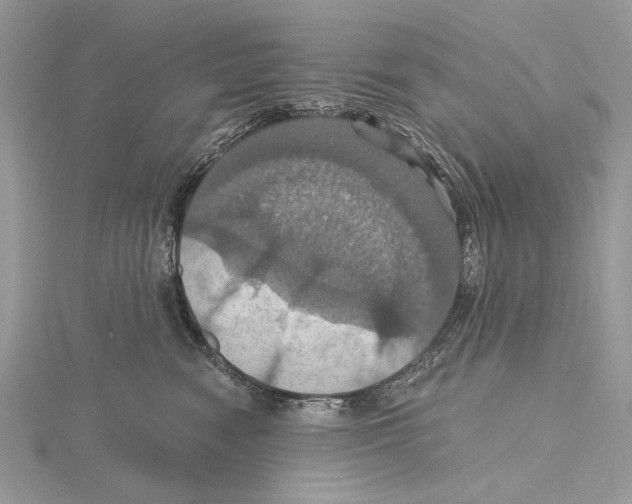 X0000115450474200912021010