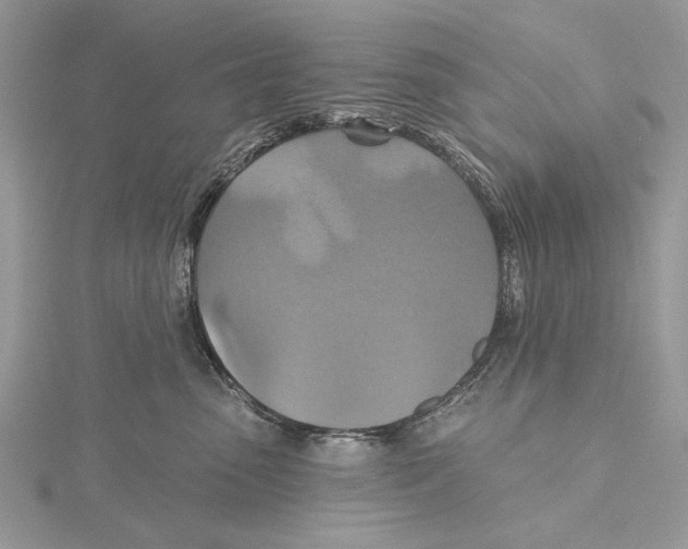 X0000115450475200912021010