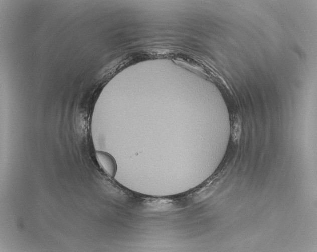 X0000115450476200912021010