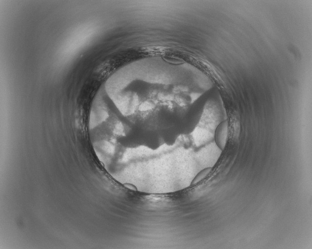 X0000115450477200912021010