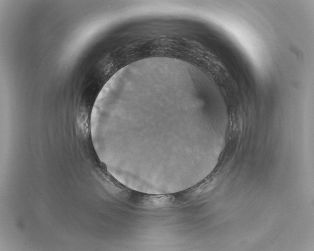 X0000115450479200912021010