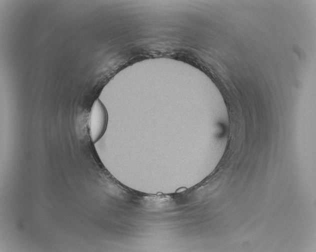 X0000115450480200912021010