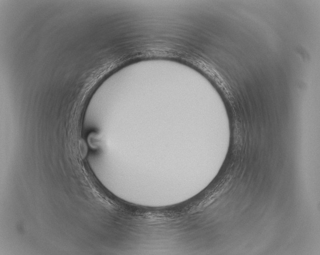 X0000115450481200912021009