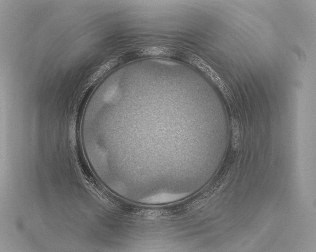 X0000115450482200912021009