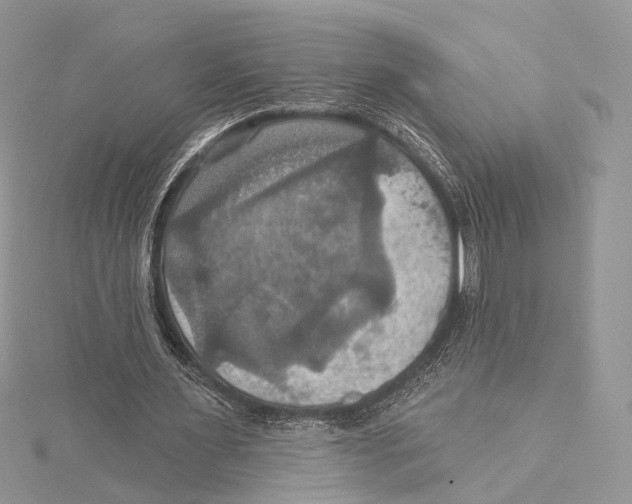 X0000115450483200912021009