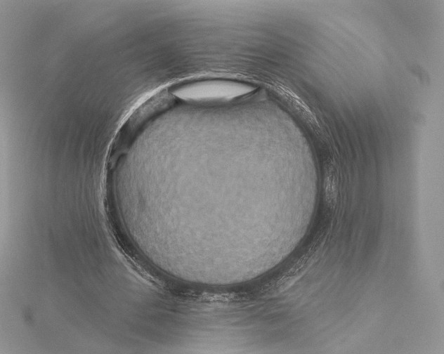 X0000115450484200912021009