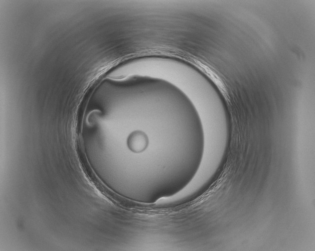 X0000115450485200912021009