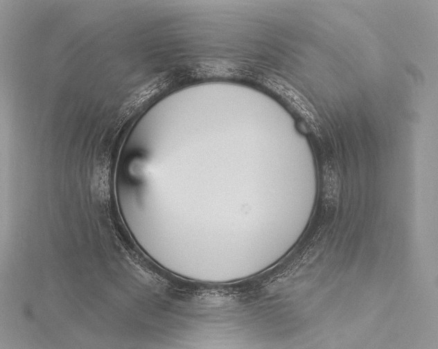 X0000115450489200912021009