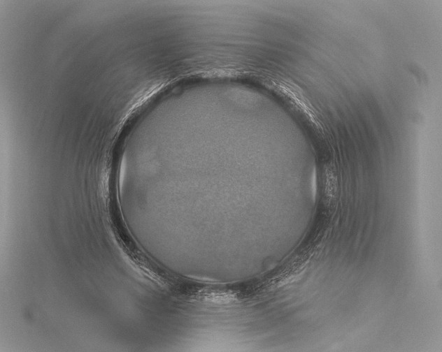 X0000115450491200912021009