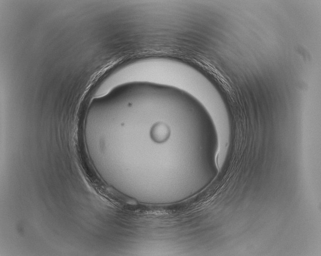 X0000115450492200912021009