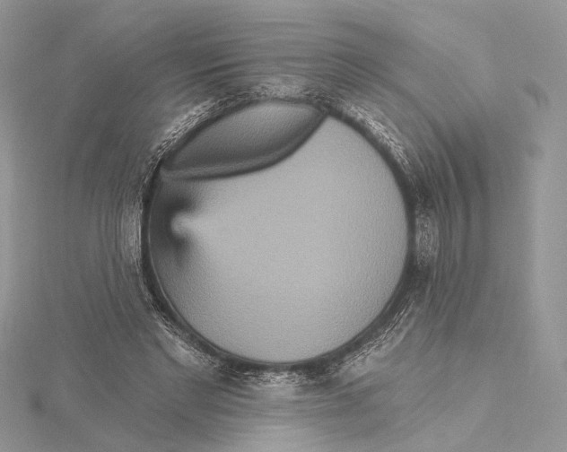 X0000115450493200912021009