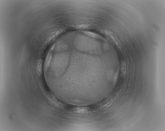 X0000115450495200912021009