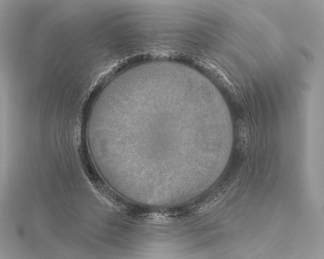 X0000115450496200912021009